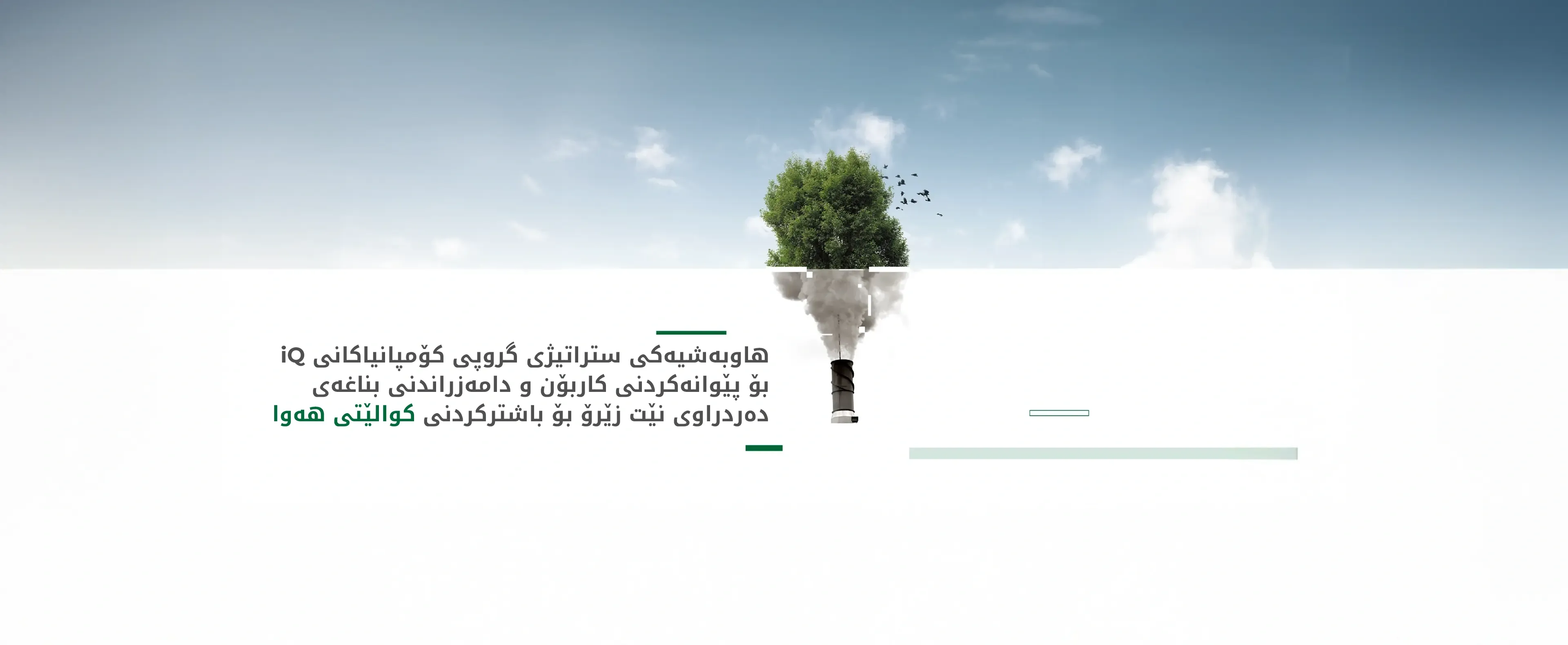 Home Slider image