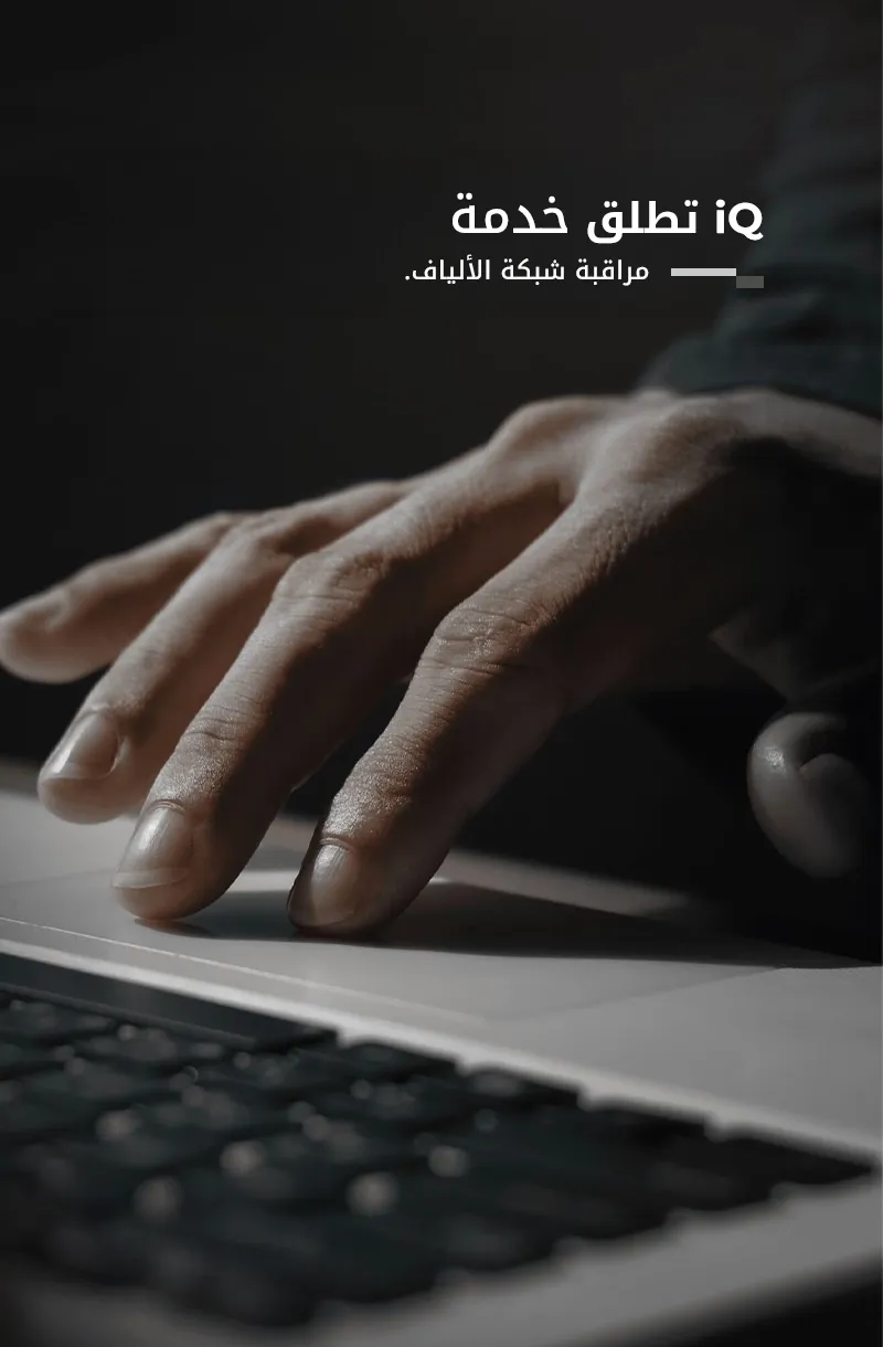 iQ Networks تطلق خدمة ضمان الكيبل الضوئي